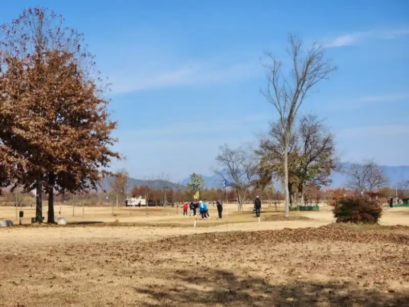 파크 골프 시작하기!