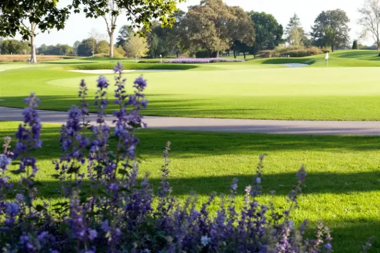 파크 골프 입문자를 위한 연습 팁
