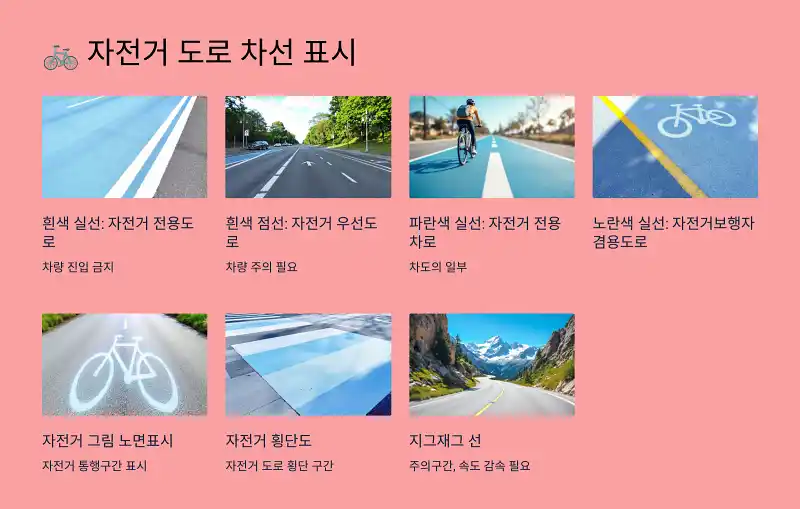 자전거 도로 차선 표시의 의미와 종류