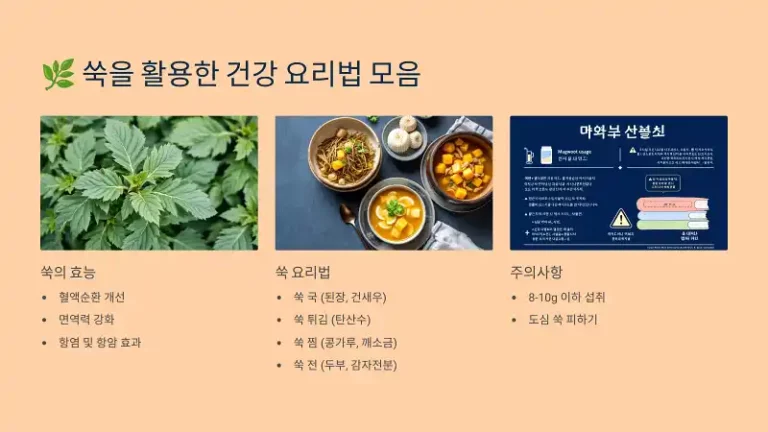 🌿 쑥을 활용한 건강 요리법 모음