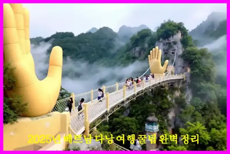 2025년 베트남 다낭 여행 꿀팁 완벽 정리