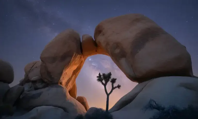 미국 조슈아 트리 국립공원