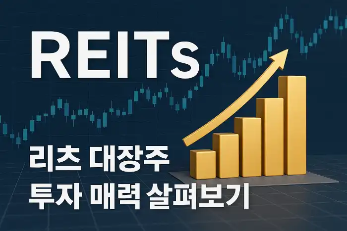 리츠 대장주 분석과 투자 매력 살펴보기