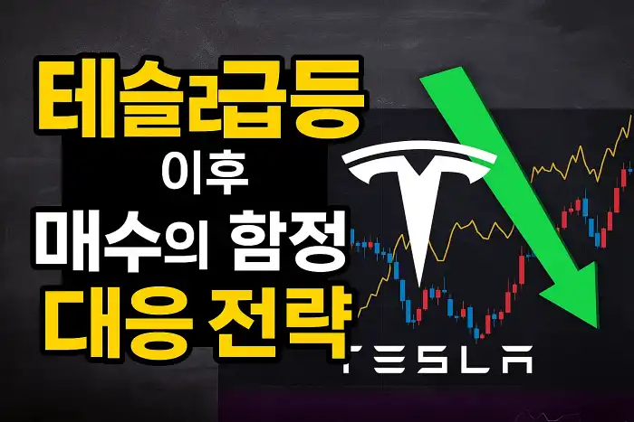 테슬라 급등 이후 매수의 함정과 대응 전략
